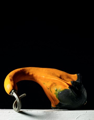 Gourds 45, botanical, photography by Rich Begany