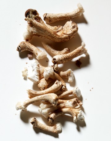 Mushroom Stems, food photography by Rich Begany