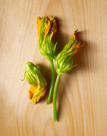 Squash Blossoms 3 Closed, food photography by Rich Begany