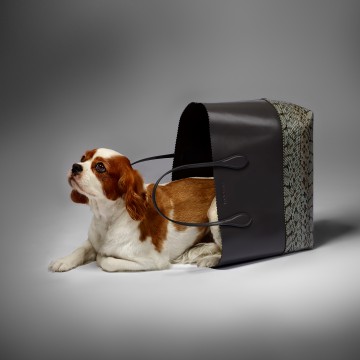 Spaniel with Bag- fashion accessories photography by Rich Begany