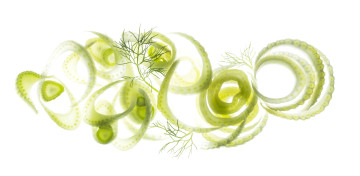 Fennel Slices and Fronds, food photography by Rich Begany