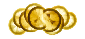 Lemon Slices, food photography by Rich Begany